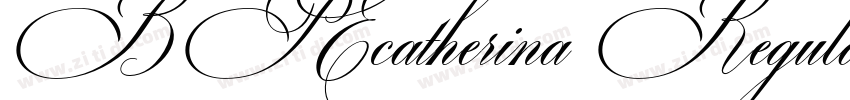 BP Ecatherina Regula字体转换